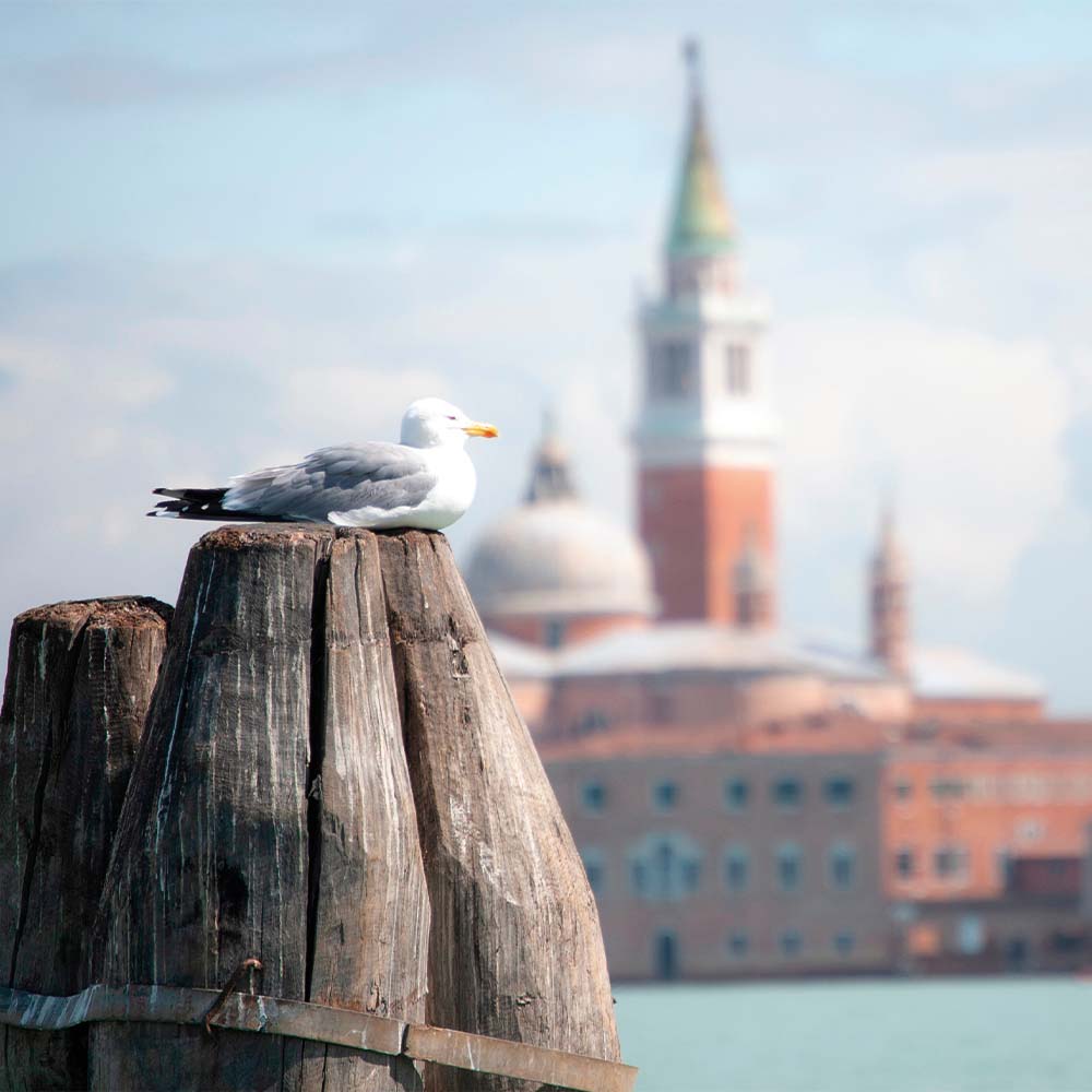 murano burano torcello